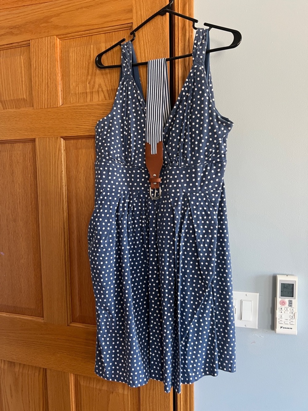 Corey P Polka Dot Blue Sleeveless Fit-and-Flare Dress